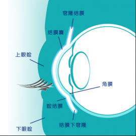 博士伦告诉你有关隐形眼镜的小贴