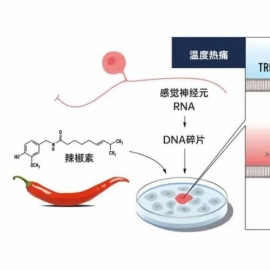 告别无效护肤，“精准”才是真护