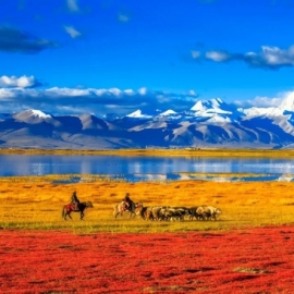 一定要来一趟西藏 看一看不同的世界