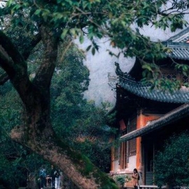 <b>人少景美的宝藏避暑小城——天台</b>